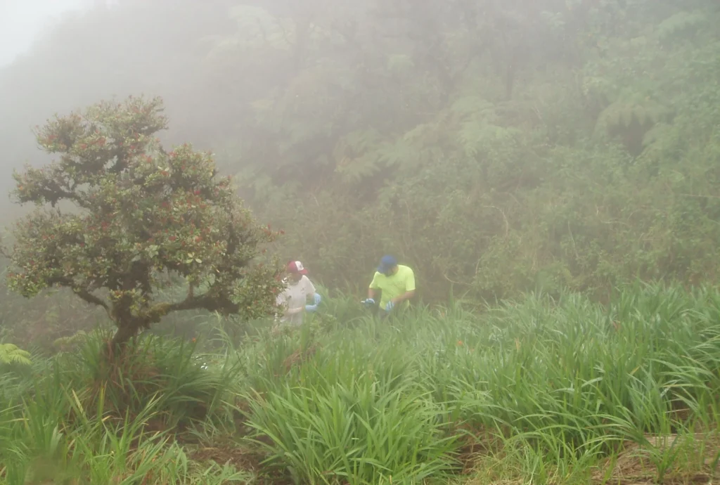 Mount Ka'ala Release Investigation, Oahu, Hawaii