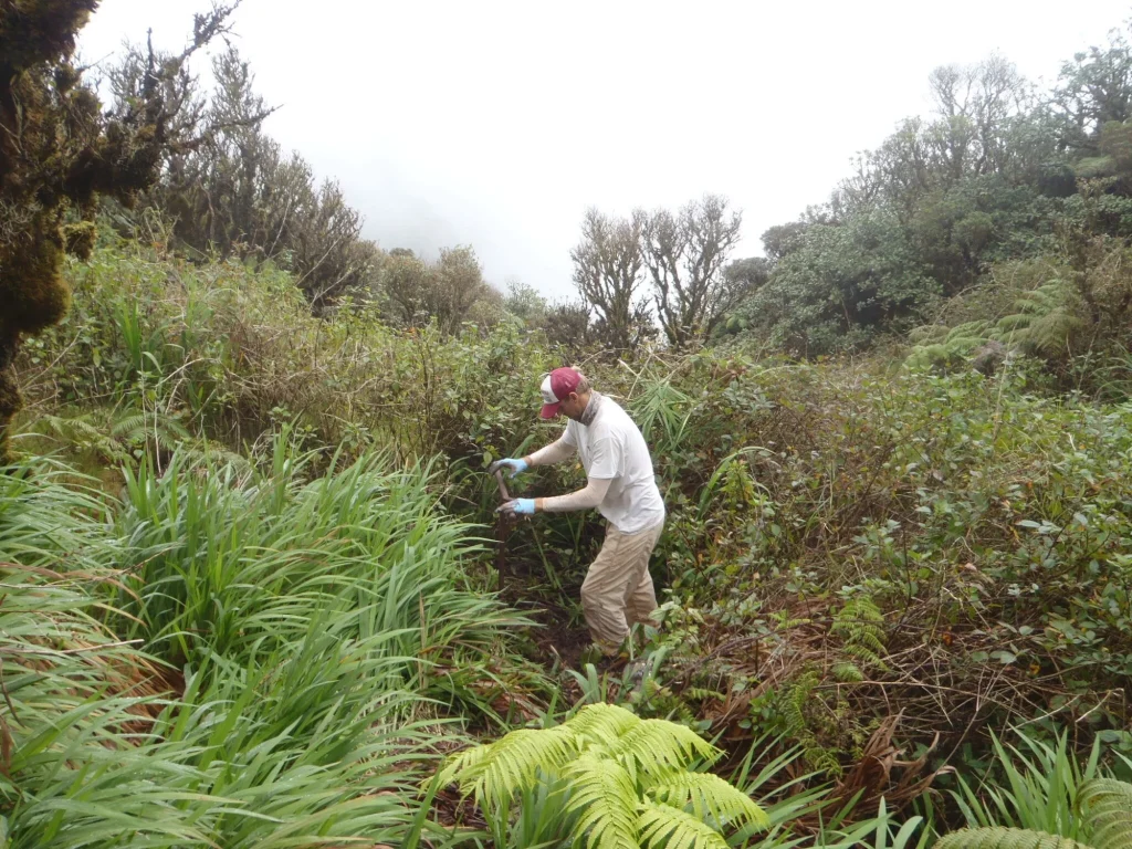 Mount Ka'ala Release Investigation, Oahu, Hawaii